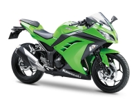 2015 - Vert Lime Green - Ninja 300