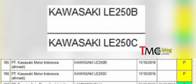 Kawasaki-Versys-250-homologation2.jpg