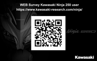 Enquete-Kawasaki-Ninja250.jpg