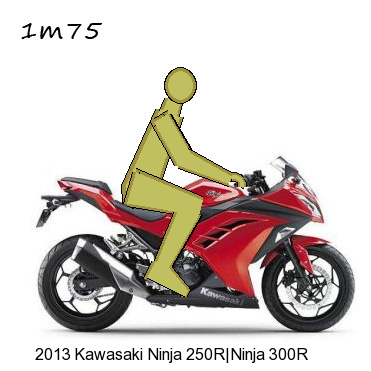 Ninja-300-1m75-assis.jpg