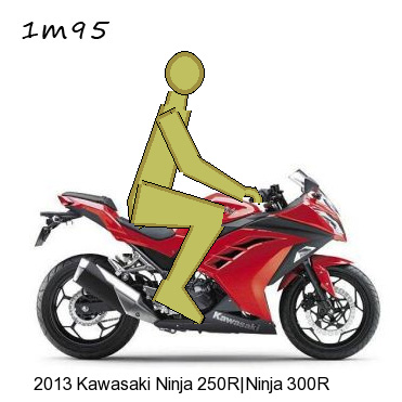 Ninja-300-1m95-assis.jpg